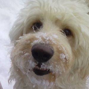 Meet your Posher, Karen